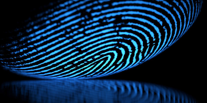 fingerprint fingerprint