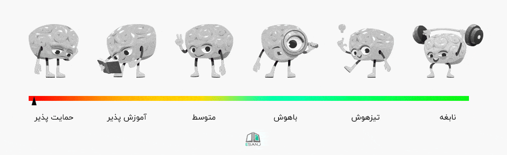 تست هوش کتل تست هوش کتل