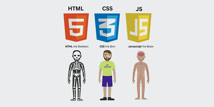 html css