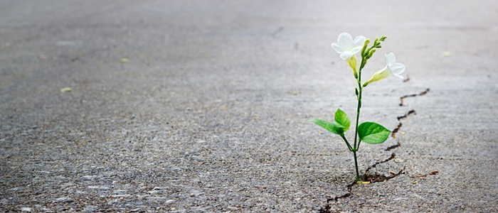 6 راه برای به دست آوردن انگیزه زمانی که تمایل به انجام هیچ کاری ندارید