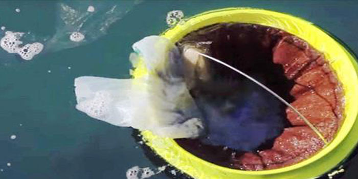 سطل زباله شناور چاره نجات اقیانوس‌های جهان