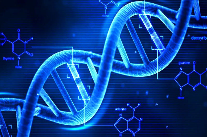 مایکروسافت می‌خواهد اطلاعات خود را بر روی DNA ذخیره کند